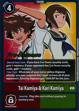 Tai Kamiya & Kari Kamiya