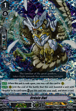 Ordain Owl