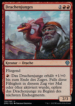 Drachenjunges