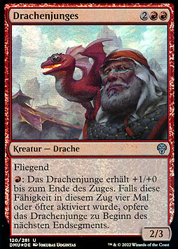 Drachenjunges