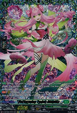 Performing Petal, Dianthe