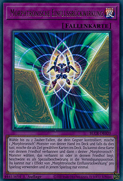 Morphtronische Einflussrückwirkung