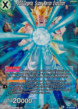 SS3 Gogeta, Super Warrior Evolution