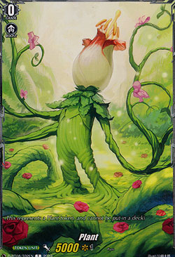 Plant