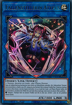 Fallenstellerin Atypus