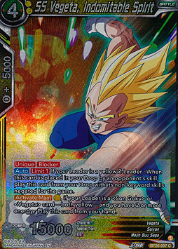 SS Vegeta, Indomitable Spirit