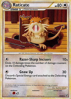 Raticate
