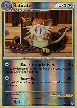 Raticate