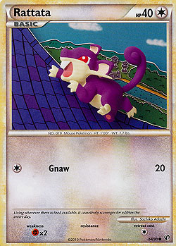 Rattata