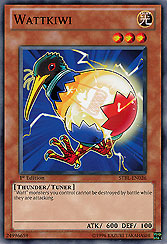 Wattkiwi
