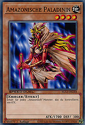 Amazonische Paladinin