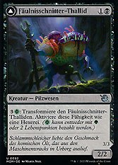Fäulnisschnitter-Thallid // Fäulnissäer-Thallid