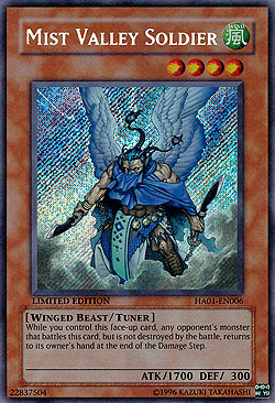 Mist Valley Soldier