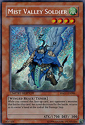 Mist Valley Soldier