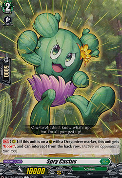 Spry Cactus
