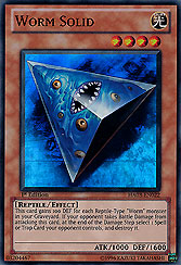Worm Solid 