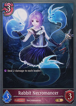 Rabbit Necromancer