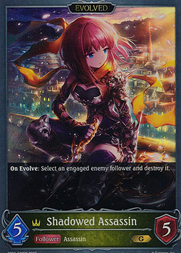 Shadowed Assassin (Evolved)
