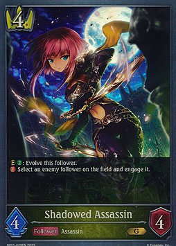 Shadowed Assassin