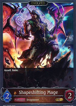 Shapeshifting Mage (Evolved)
