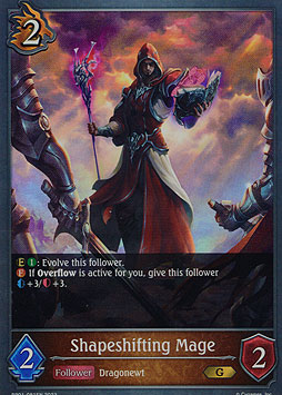 Shapeshifting Mage