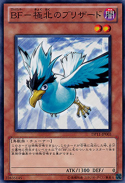 Blackwing - Blizzard the Far North 