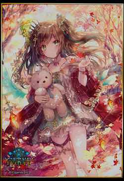 Reign of Bahamut Sleeves Vers. 2