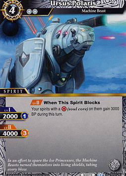 Ursus Polaris
