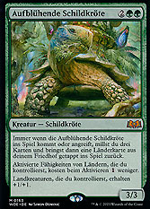Aufblühende Schildkröte
