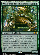 Aufblühende Schildkröte