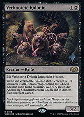 Verknotete Kolonie