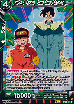Krillin & Yamcha, Turtle School Experts