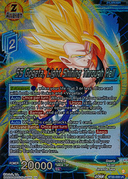 SS Gogeta, Light Shining Through Hell
