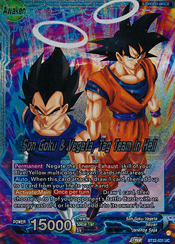 Son Goku // Son Goku & Vegeta, Tag Team in Hell