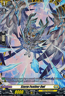 Storm Feather Owl