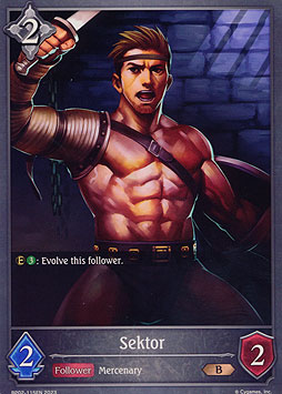 Sektor
