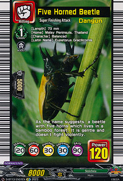 Five Horned Beetle