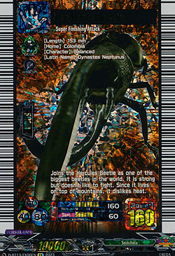 Neptune Beetle