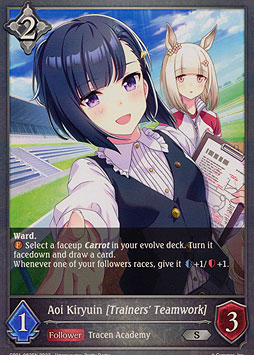 Aoi Kiryuin Trainers