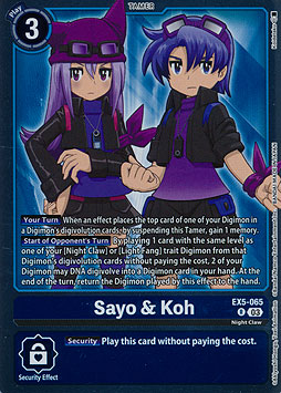 Sayo & Koh