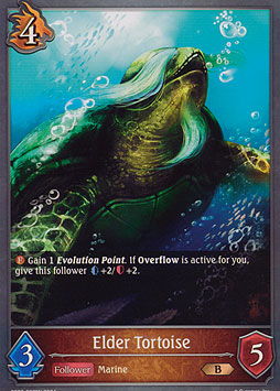 Elder Tortoise