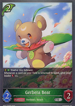 Gerbera Bear