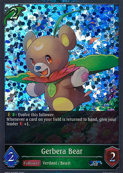Gerbera Bear