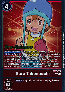 Sora Takenouchi