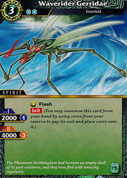 Waverider Gerridae