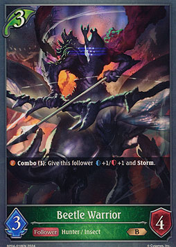 Beetle Warrior
