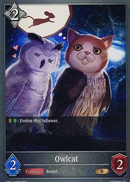 Owlcat