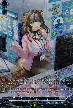 Blitz Customer Support, Kurde