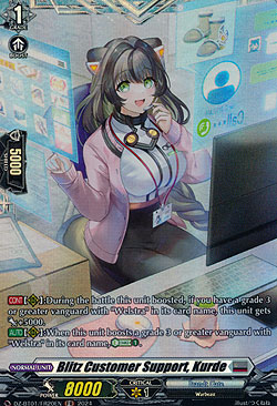 Blitz Customer Support, Kurde