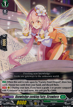 Knowledge-seeking Fairy, Strawbera